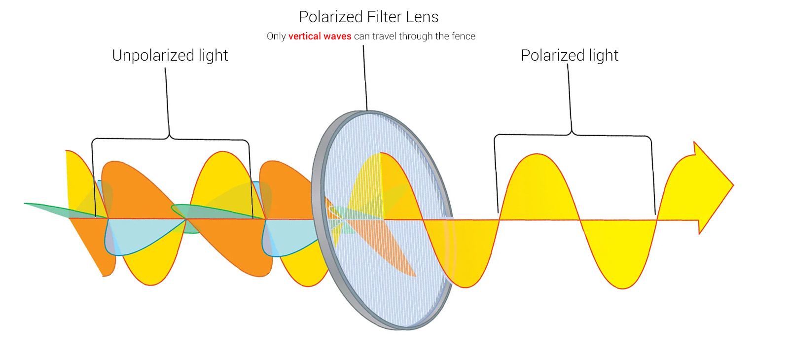 Polarized_Lenses